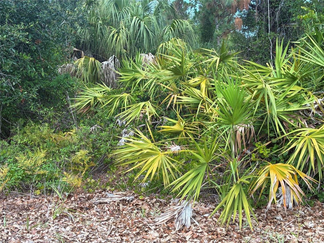 Mendavia Ter., North Port, FL 34286