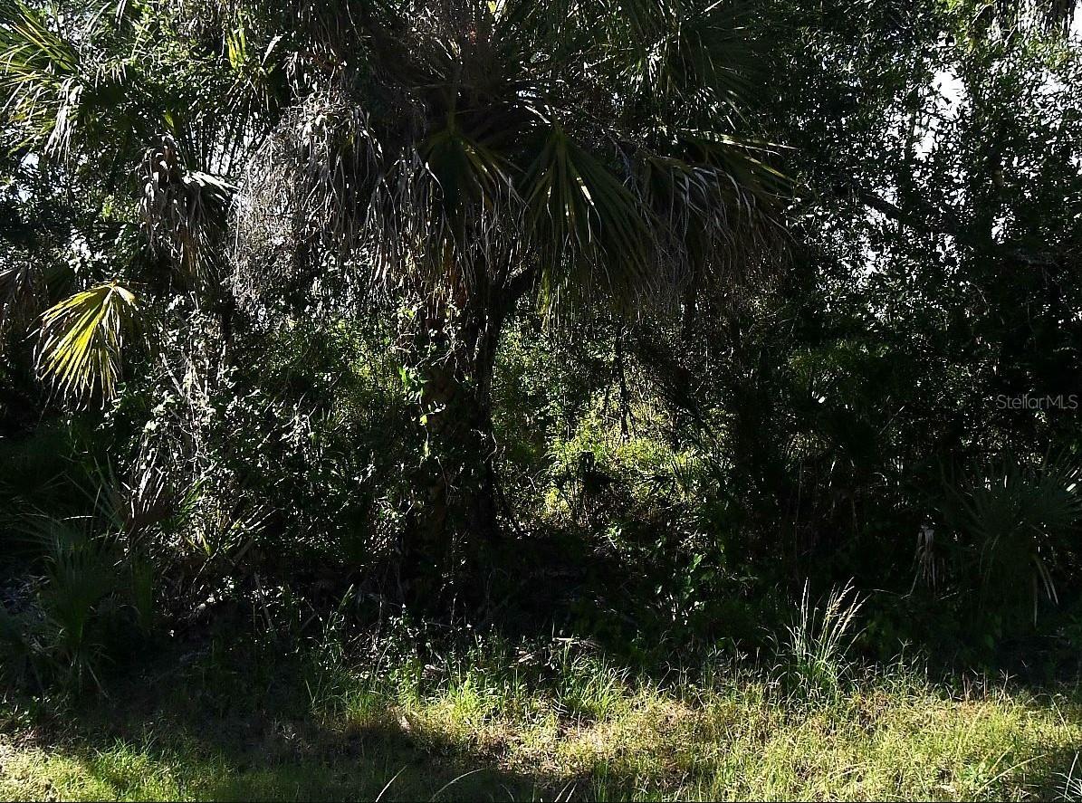 Desco Rd., North Port, FL 34286
