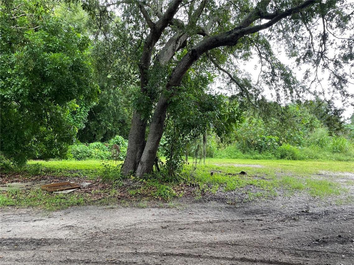 Albee Farm Rd., Venice, FL 34285
