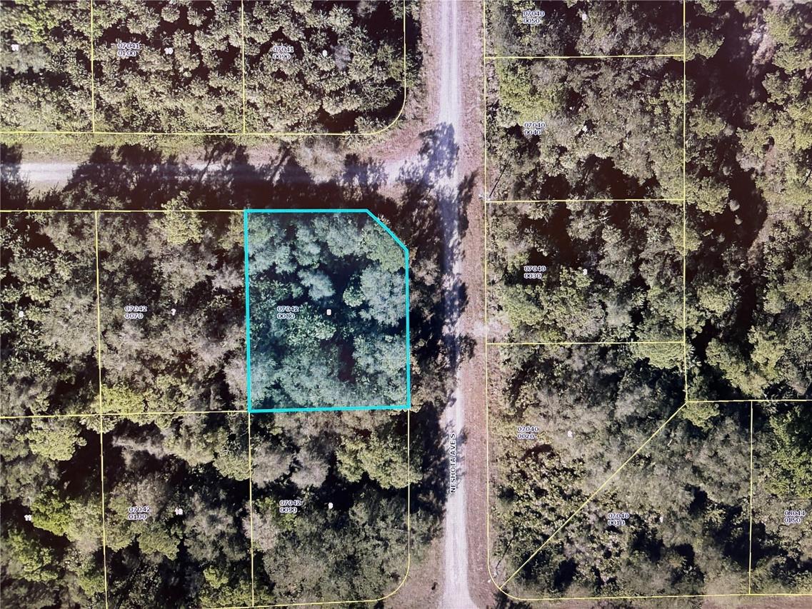 1224 Rosita St., Lehigh Acres, FL 33974