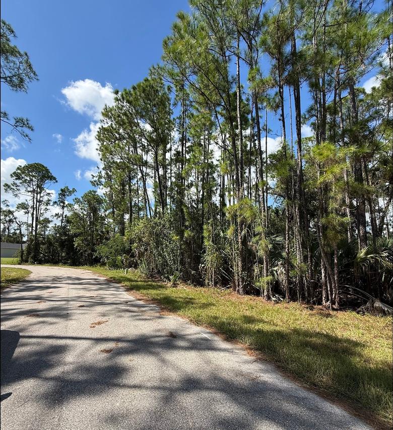 Carmelia St., North Port, FL 34288