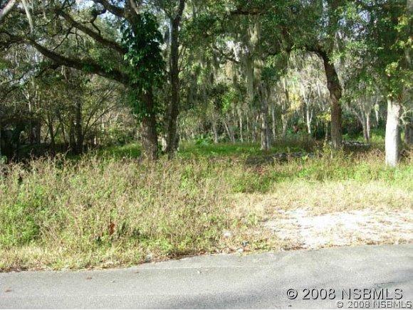 1488 Elizabeth St., New Smyrna Beach, FL 32168