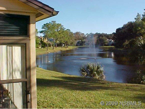 408 Shorewood Ln., New Smyrna Beach, FL 32168