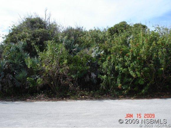 Ocean Dr., New Smyrna Beach, FL 32169