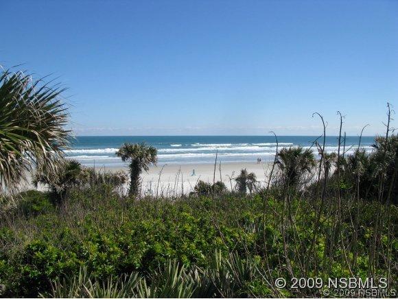 2009 Hill St., New Smyrna Beach, FL 32169
