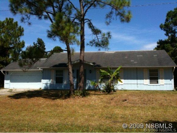 2432 Tamarind Dr., Edgewater, FL 32141