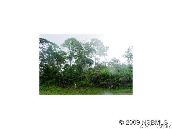 Ragis Rd., Edgewater, FL 32132