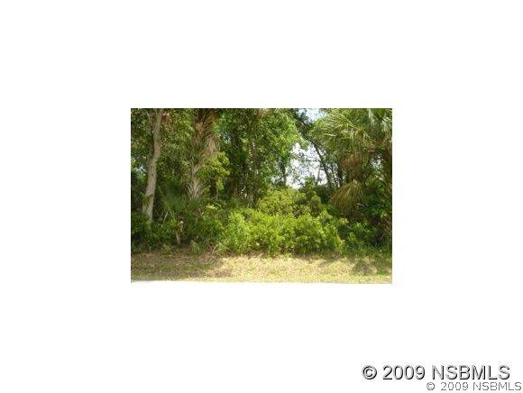 Sabal Palm Dr., Edgewater, FL 32141