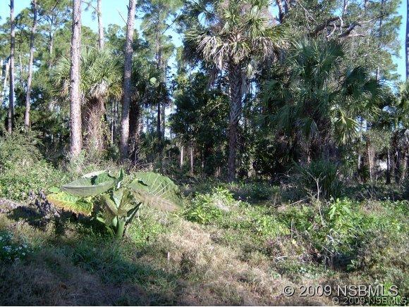 Azalea Rd., Edgewater, FL 32141