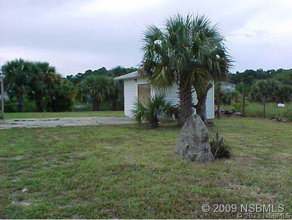 134 Randle Ave., Oak Hill, FL 32759