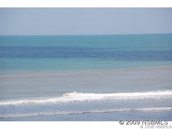 5203 S Atlantic Ave. #411, New Smyrna Beach, FL 32169