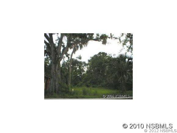 1616 Airpark Rd., New Smyrna Beach, FL 32132