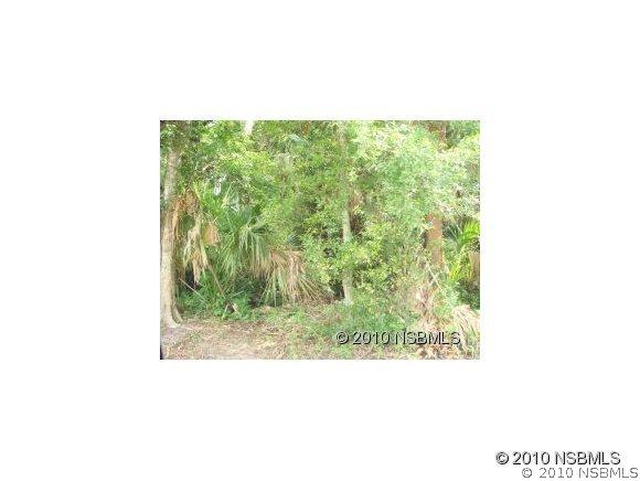 2511 India Palm Dr., Edgewater, FL 32141