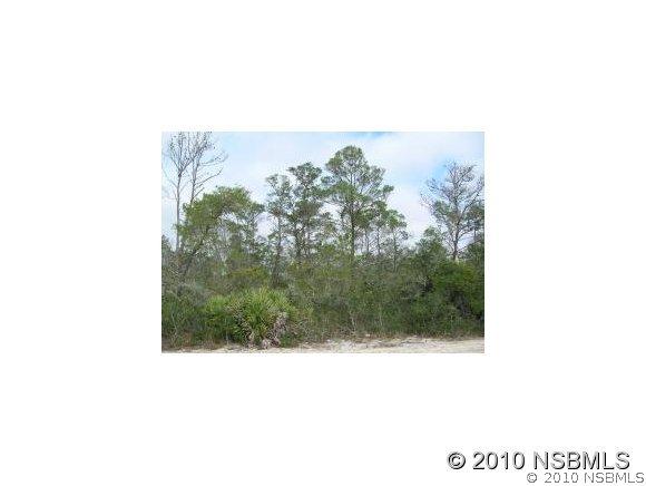 High Ridge Dr., New Smyrna Beach, FL 32168