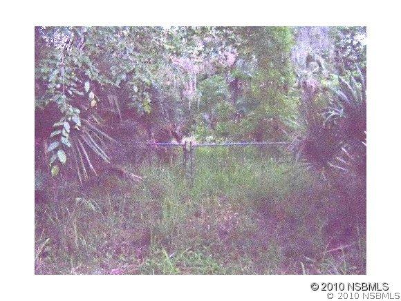 1155 Maytown Rd., Oak Hill, FL 32759