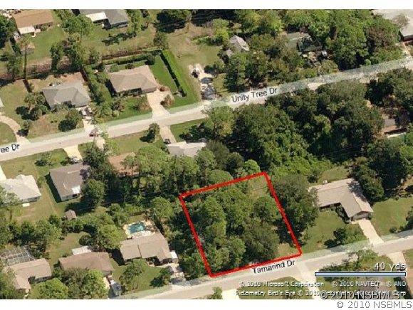 Tamarind Dr., Edgewater, FL 32141