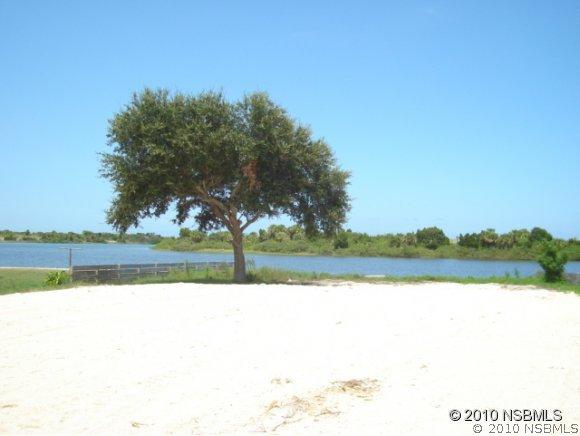 67 Cunningham Dr., New Smyrna Beach, FL 32168