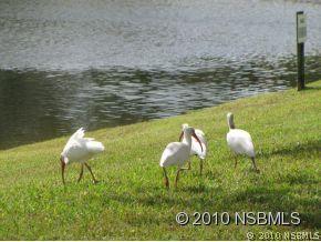 2234 Candlewood Ln., New Smyrna Beach, FL 32168