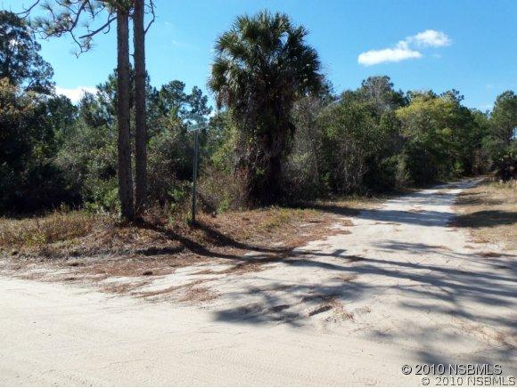 4629 Herin Dr., New Smyrna Beach, FL 32168