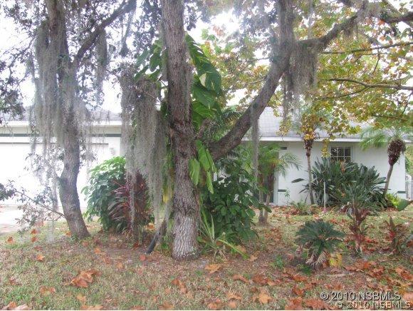 2215 Travelers Palm Dr., Edgewater, FL 32132