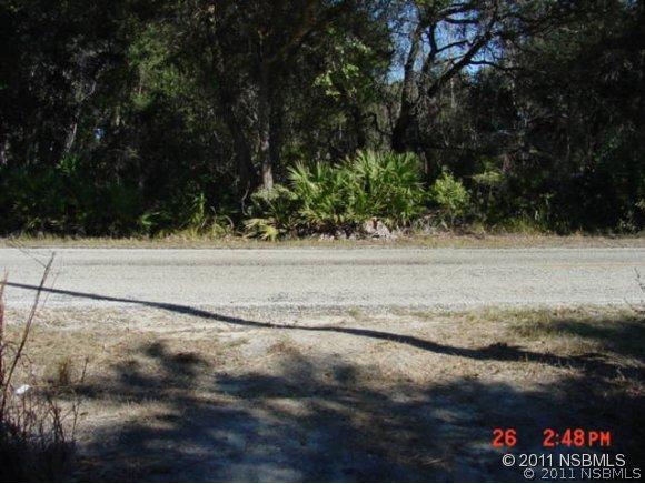 W Maytown Rd., Oak Hill, FL 32759