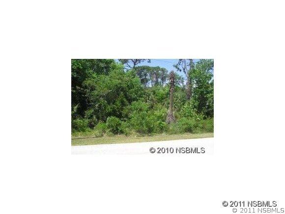 2414 Needle Palm Dr., Edgewater, FL 32141