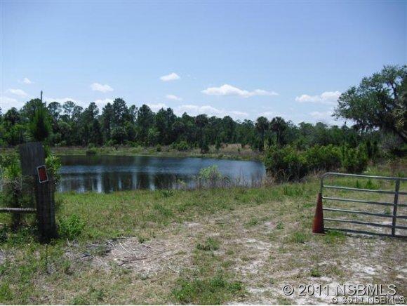 [Address Hidden by Seller], New Smyrna Beach, FL 32168