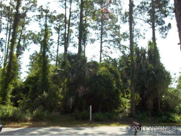 Unity Tree Dr., Edgewater, FL 32141