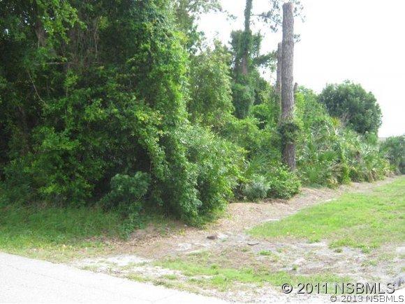 Victory Palm Dr., Edgewater, FL 32141