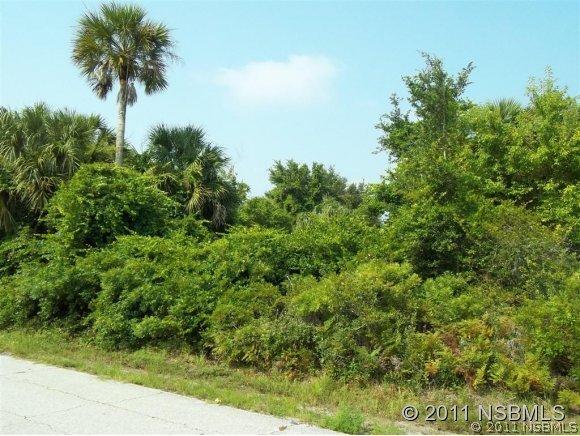 Date Palm Dr., Edgewater, FL 32141