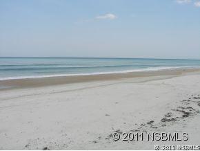 Turtlemound Rd., New Smyrna Beach, FL 32169