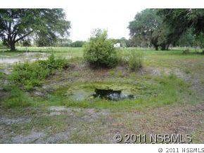 1415 Maytown Rd., Oak Hill, FL 32759