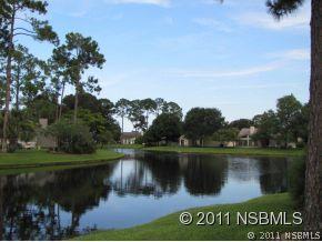 797 Pine Shores Cir., New Smyrna Beach, FL 32168