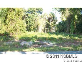 Orange Tree Dr., Edgewater, FL 32141