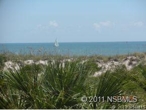 [Address Hidden by Seller], New Smyrna Beach, FL 32168