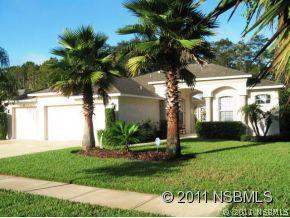501 Nature Creek Ln., New Smyrna Beach, FL 32168