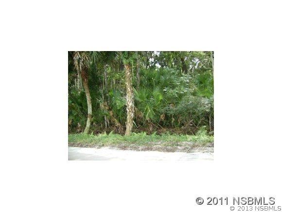 Eels Grove Rd., Edgewater, FL 32141