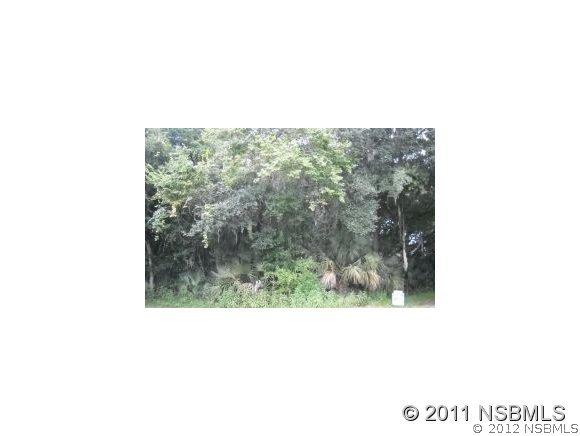 Needle Palm Dr., Edgewater, FL 32141