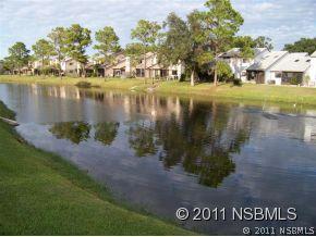 2295 Branchwood Dr., New Smyrna Beach, FL 32168