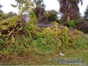 Fern Palm Dr., Edgewater, FL 32141