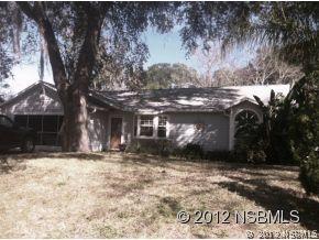 2917 Umbrella Tree Dr., Edgewater, FL 32141