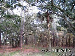 Pioneer Tr., New Smyrna Beach, FL 32168