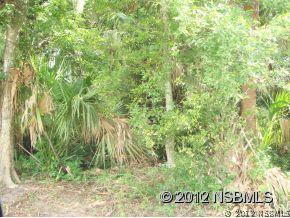 Us Highway 1, Oak Hill, FL 32759