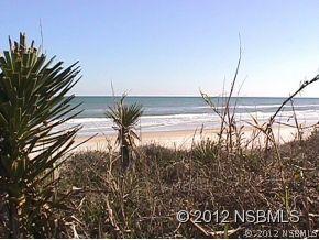 2909 Hill St., New Smyrna Beach, FL 32169