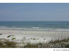 6391 Turtlemound Rd., New Smyrna Beach, FL 32169