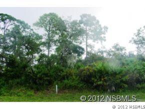 449 W Orange Blossom Tr., Apopka, FL 32712