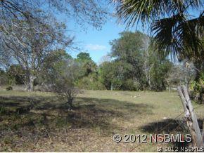 192 N Brooks Cir., Oak Hill, FL 32759