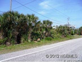 Turtlemound Rd., New Smyrna Beach, FL 32169