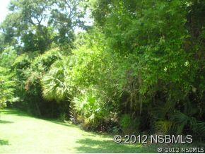 Kumquat Dr., Edgewater, FL 32141