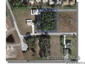 1037 Flying M Ct., Edgewater, FL 32132